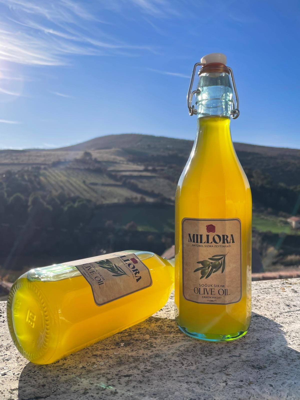 Millora Aurea Edition