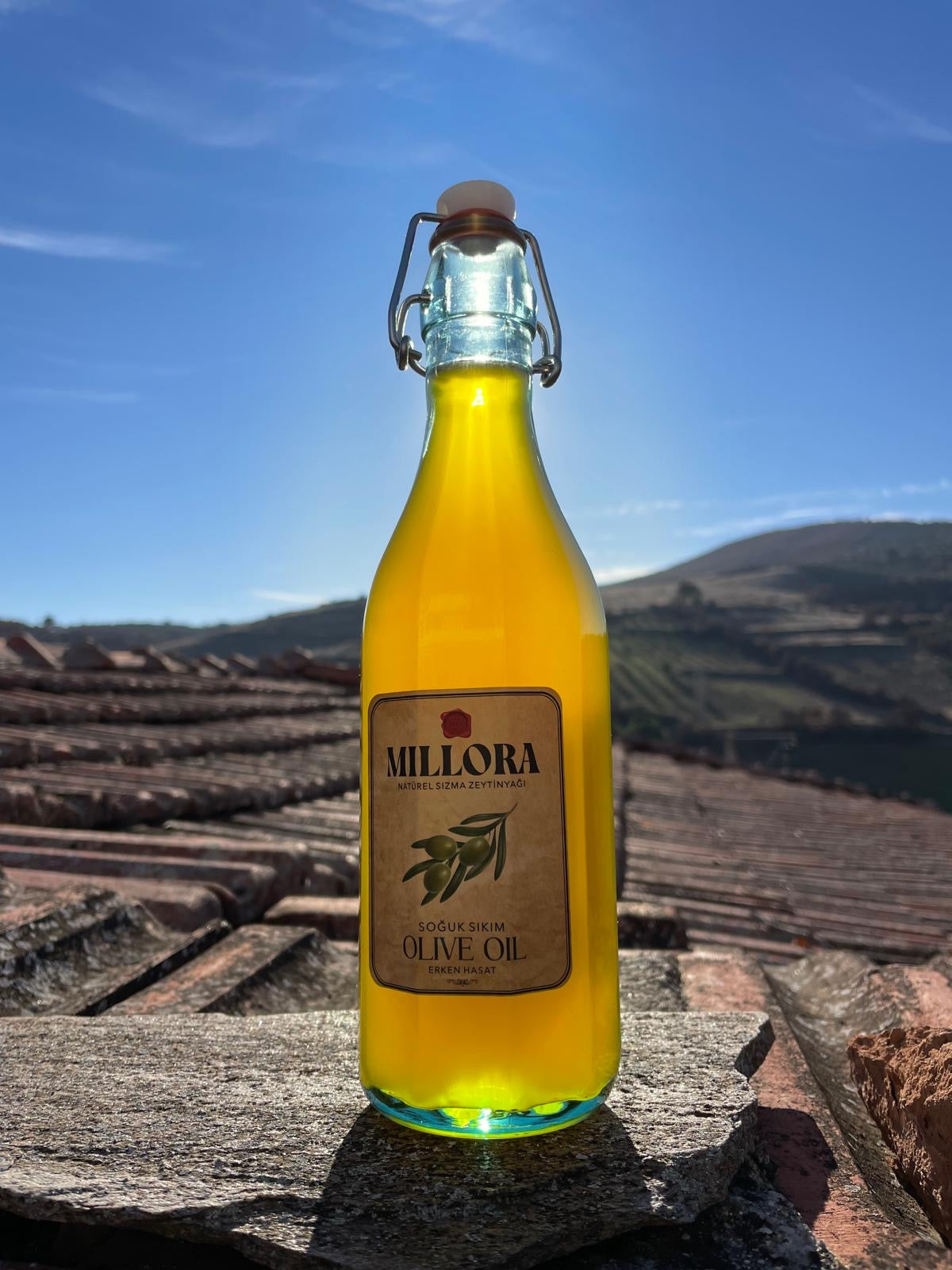 Millora Aurea Edition